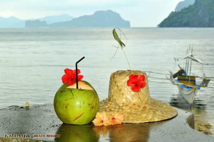 Kalinga Beach Resort 爱妮岛 外观 照片